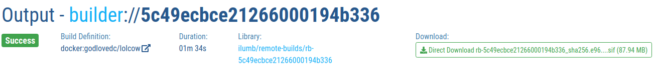 _images/build_output.png